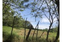 Lotes, Venta, Pance - $3.909.450.000