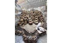 Casas, Alquiler, Nuevo Rey - $3.700.000