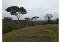 Lotes, Venta, Pance - $1.300.000.000