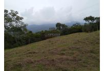 Lotes, Venta, Pance - $1.300.000.000