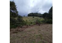 Lotes, Venta, Calima (Darién) - $900.000.000