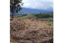 Lotes, Venta, Calima (Darién) - $900.000.000