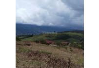 Lotes, Venta, Calima (Darién) - $900.000.000