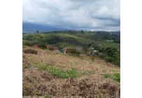 Lotes, Venta, Calima (Darién) - $900.000.000