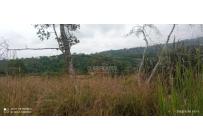 Lotes, Venta, Pance - $850.000.000