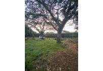 Casas, Venta, Pance - $6.439.791.000