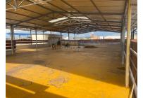 Edificios, Venta, Palmira - $9.000.000.000