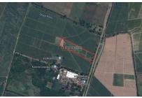 Lotes, Venta, Palmira - $6.660.000.000