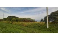 Lotes, Venta, Palmira - $6.660.000.000