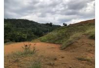 Lotes, Venta, Pance - $1.560.000.000