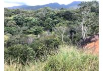 Lotes, Venta, Pance - $1.560.000.000