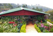 Fincas y Casas Campestres, Venta, Dagua - $2.800.000.000