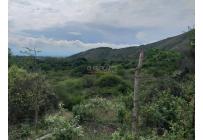 Fincas y Casas Campestres, Venta, Yotoco - $3.000.000.000