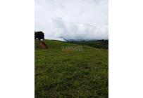 Lotes, Venta, Restrepo - $1.318.500.000