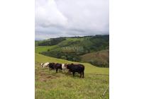 Lotes, Venta, Restrepo - $1.318.500.000