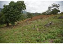 Lotes, Venta, Pance - $890.000.000