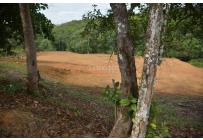 Lotes, Venta, Pance - $890.000.000