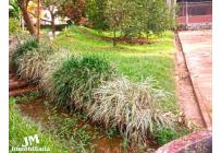 Lotes, Venta, Pance - $6.400.000.000