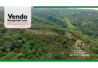 Lotes, Venta, La Buitrera - $9.291.060.000