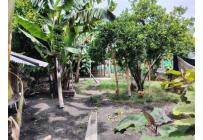 Fincas y Casas Campestres, Venta, Palmira - $420.000.000