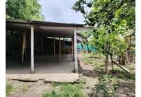 Fincas y Casas Campestres, Venta, Palmira - $420.000.000