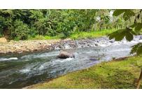 Apartamentos, Venta, Pereira - $4.200.000.000