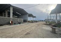 Locales y Bodegas, Alquiler, Palmira - $30.600.000