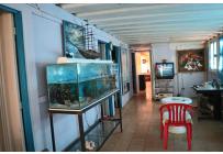 Fincas y Casas Campestres, Venta, Dagua - $520.000.000