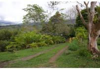 Fincas y Casas Campestres, Venta, Dagua - $520.000.000