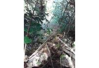 Fincas y Casas Campestres, Venta, Dagua - $520.000.000