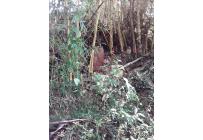 Fincas y Casas Campestres, Venta, Dagua - $520.000.000