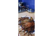 Lotes, Venta, Cartagena - $7.200.000.000