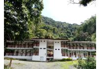 Fincas y Casas Campestres, Alquiler, Pereira - $13.000.000