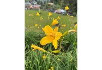 Casas, Venta, Yumbo - $1.300.000.000