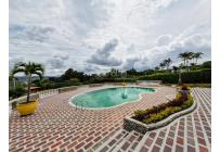 Edificios, Alquiler, Calima (Darién) - $64.900