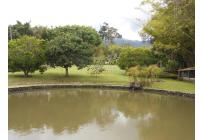 Fincas y Casas Campestres, Alquiler, Calima (Darién) - $59.990