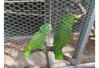 Fincas y Casas Campestres, Alquiler, Obando - $54.990