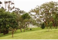 Fincas y Casas Campestres, Venta, Yumbo - $1.400.000.000