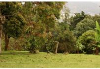 Fincas y Casas Campestres, Venta, Yumbo - $1.400.000.000