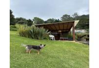 Fincas y Casas Campestres, Venta, Yumbo - $1.400.000.000