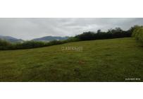 Lotes, Venta, Palmira - $700.000.000