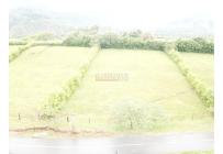 Lotes, Venta, Palmira - $700.000.000