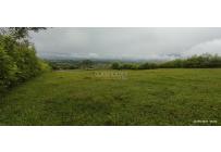 Lotes, Venta, Palmira - $700.000.000