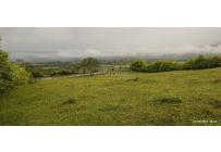 Lotes, Venta, Palmira - $700.000.000