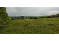 Lotes, Venta, Palmira - $700.000.000