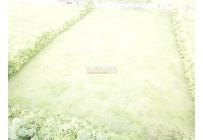 Lotes, Venta, Palmira - $700.000.000