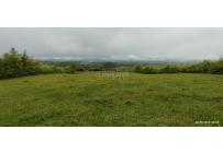 Lotes, Venta, Palmira - $700.000.000