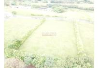 Lotes, Venta, Palmira - $700.000.000