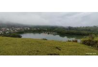 Lotes, Venta, Palmira - $700.000.000