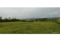 Lotes, Venta, Palmira - $700.000.000